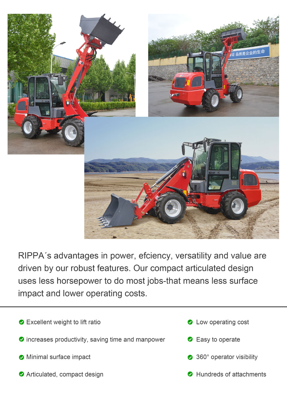 RIPPA loader